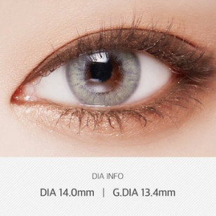 LensVery 1month – Wonder Eye Deep Gray奇幻深灰 月拋 2片裝